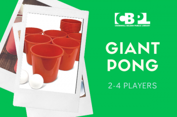 Giant pong, 2 to 4 players